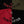 Load image into Gallery viewer, Competition Tee 2.0 - Black/Red
