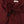 Load image into Gallery viewer, USPA 5&quot; Squat Shorts (Maroon)
