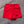 Load image into Gallery viewer, USPA Powerlifting Women&#39;s Shorts 2.0 - Red
