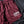 Load image into Gallery viewer, USPA 5&quot; Squat Shorts (Maroon)
