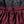 Load image into Gallery viewer, USPA 5&quot; Squat Shorts (Maroon)
