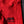 Load image into Gallery viewer, USPA Powerlifting Women&#39;s Shorts 2.0 - Red
