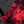 Load image into Gallery viewer, USPA Powerlifting Women&#39;s Shorts 2.0 - Red Tie-Dye
